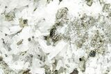Gleaming Pyrite Crystals with Quartz Crystals - Peru #238945-2